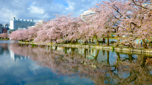 Ueno Park Travel Guide, photo 3 of 5