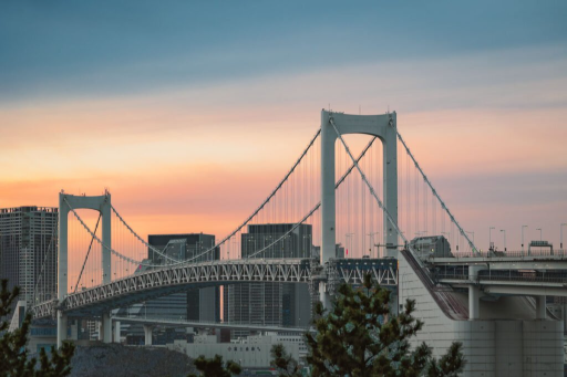 Offbeat Odaiba Travel Guide , Best Spots for Family & Group Travel in Tokyo, photo 3 of 6