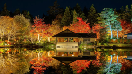 Showa Kinen Park: Tachikawa’s Ultimate Outdoor Paradise in Tokyo, photo 1 of 12