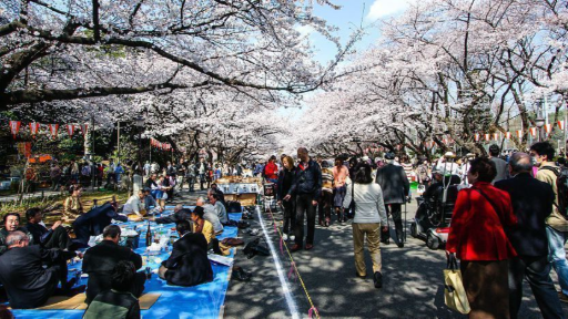 Ueno Park Travel Guide, photo 5 of 5