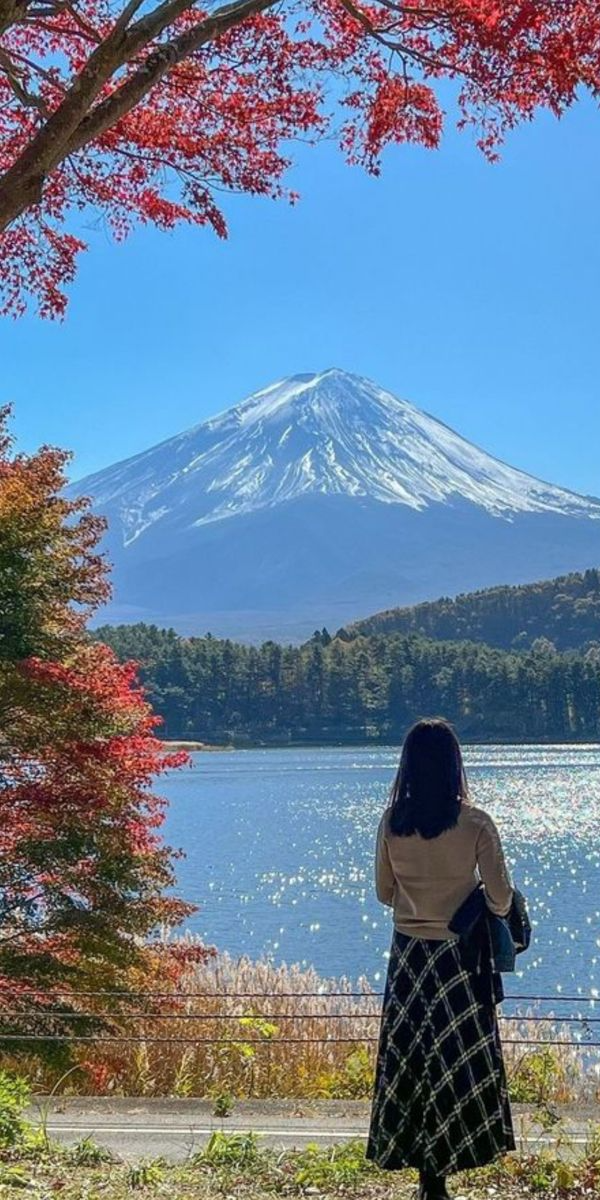 Hidden Family Gems in Tokyo: Calm Places to Explore with Kids, photo 1 of 3