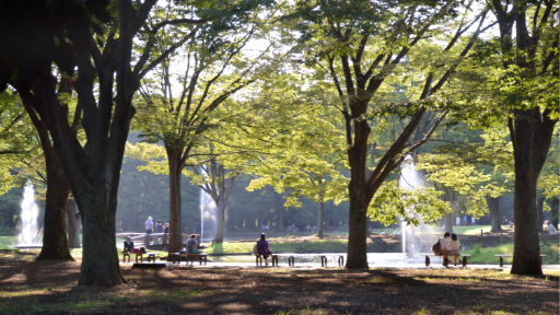 Yoyogi Park Tokyo: Sports, Food Festivals, and Outdoor Adventures Explore Tokyo's Iconic Urban Oasis, photo 3 of 9