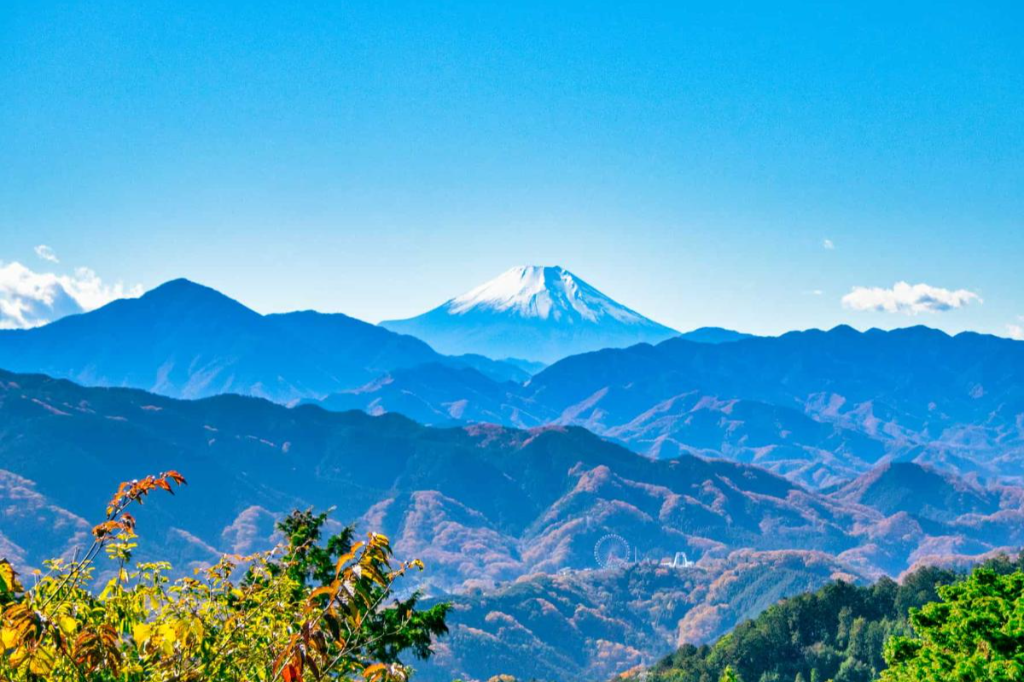 A One-Day Trip to Mount Takao: Nature, Temples, and Scenic Views, photo 5 of 7