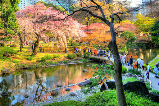 Explore Tokyo’s Tranquil Oasis: Koishikawa Korakuen Garden, photo 2 of 8