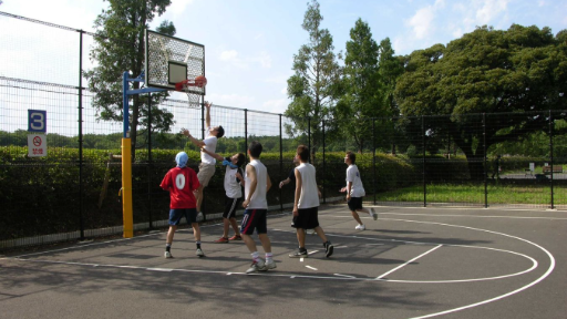 Showa Kinen Park: Tachikawa’s Ultimate Outdoor Paradise in Tokyo, photo 5 of 12