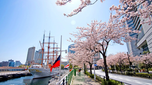 Minato Mirai 21 Yokohama: Ultimate Guide to Shopping, Sakura, and Fun Attractions, photo 5 of 8