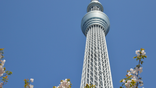 Ultimate Tokyo Skytree Guide: Access, Tips, and Things to Do, photo 3 of 8