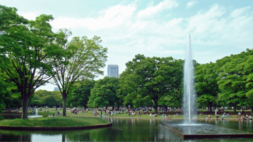 Yoyogi Park Tokyo: Sports, Food Festivals, and Outdoor Adventures Explore Tokyo's Iconic Urban Oasis, photo 4 of 9