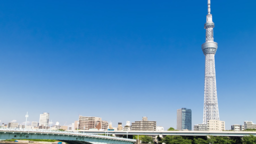 Ultimate Tokyo Skytree Guide: Access, Tips, and Things to Do, photo 5 of 8