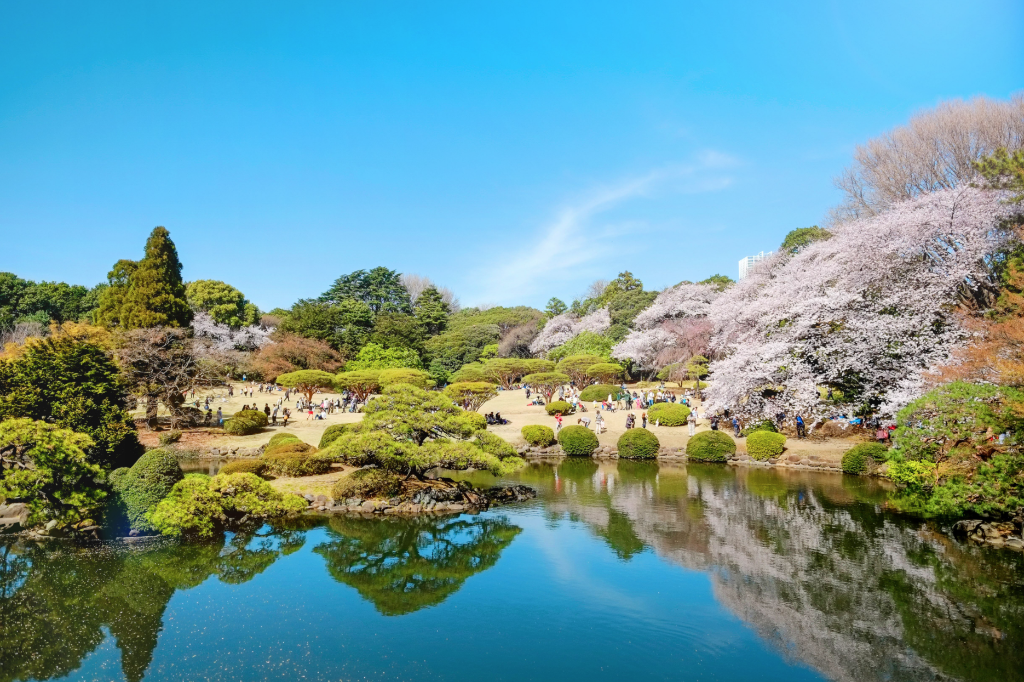 Exploring Shinjuku: Top Places to Visit and How to Get There, photo 2 of 9