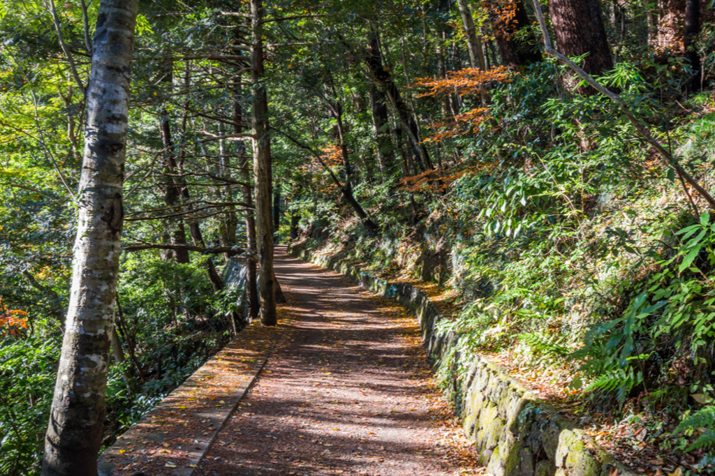 A One-Day Trip to Mount Takao: Nature, Temples, and Scenic Views, photo 3 of 7