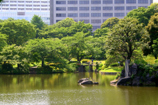 Explore Tokyo’s Tranquil Oasis: Koishikawa Korakuen Garden, photo 3 of 8