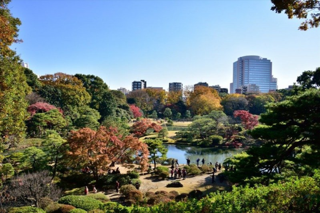 Rikugien: Edo Aesthetics Preserved in the Heart of Tokyo, photo 3 of 6