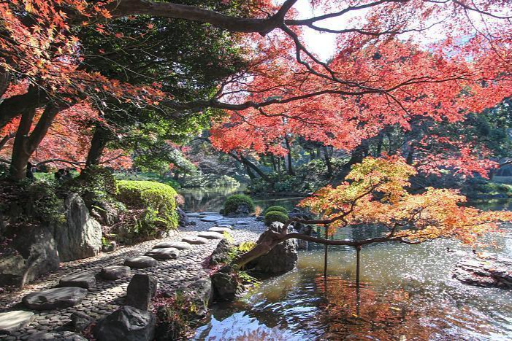 Explore Tokyo’s Tranquil Oasis: Koishikawa Korakuen Garden, photo 1 of 8