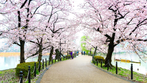 Ueno Park Travel Guide, photo 1 of 5
