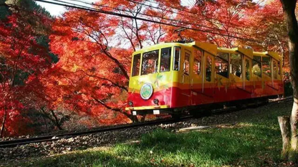 A One-Day Trip to Mount Takao: Nature, Temples, and Scenic Views, photo 1 of 7