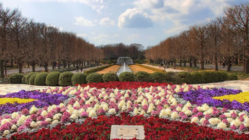 Showa Kinen Park: Tachikawa’s Ultimate Outdoor Paradise in Tokyo, photo 3 of 12