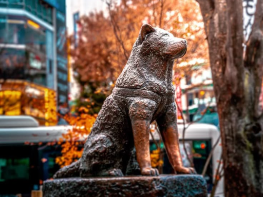 Explore Shibuya, photo 1 of 3