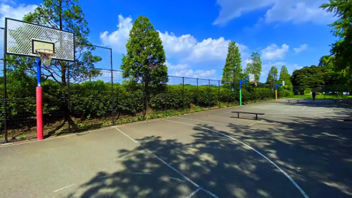 Showa Kinen Park: Tachikawa’s Ultimate Outdoor Paradise in Tokyo, photo 4 of 12