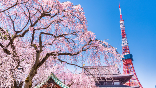 Tokyo Tower: An Iconic Landmark and Must-Visit Attraction in Japan, photo 4 of 10