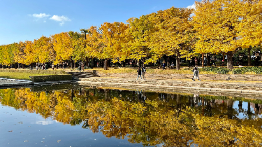 Showa Kinen Park: Tachikawa’s Ultimate Outdoor Paradise in Tokyo, photo 2 of 12