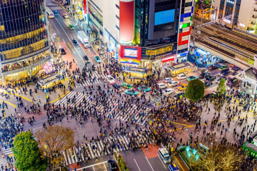 Family Travel in Tokyo | Insider Tips for Stress-Free Planning