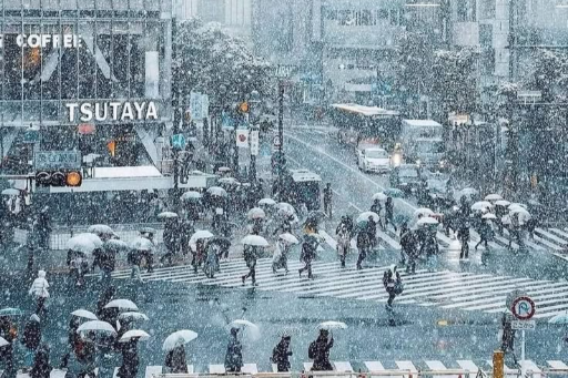 Feeling Cold in Tokyo? Here’s Where Locals Shop for Winter Clothes and ...